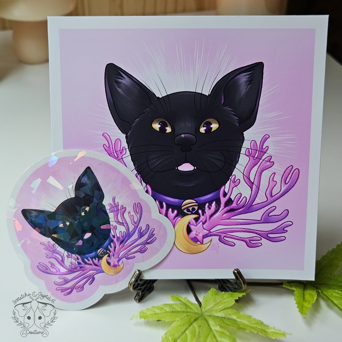 Jiji Black Cat Lilac Coral Fungi Moss Cat Bundle