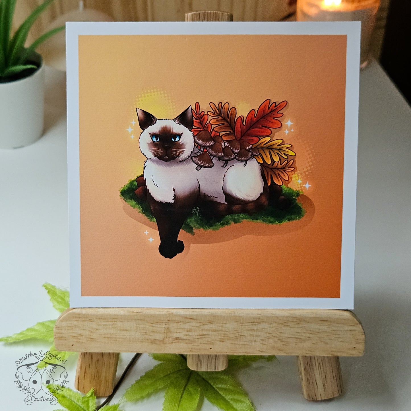 Siamese Shiitake Moss Cat Bundle