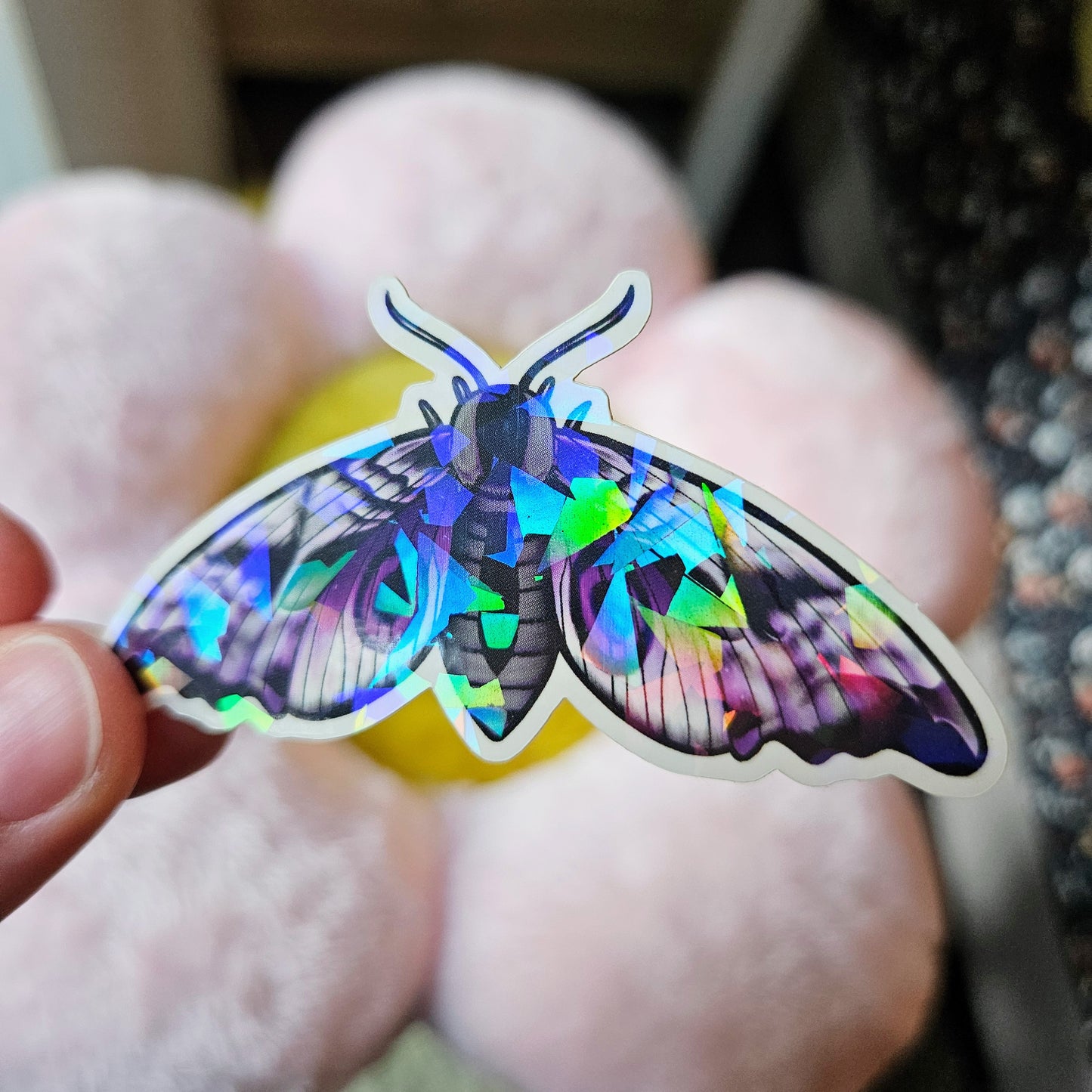 Ace Asexual Pride Flag Hawk Moth Sticker