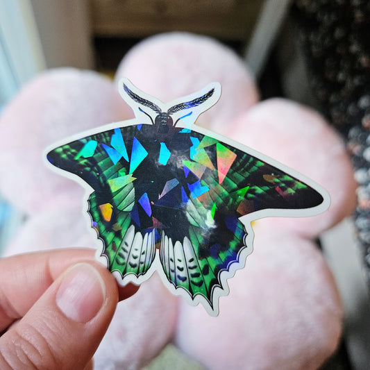 Aro Asexual Pride Flag Madagascan Sunset Moth Sticker