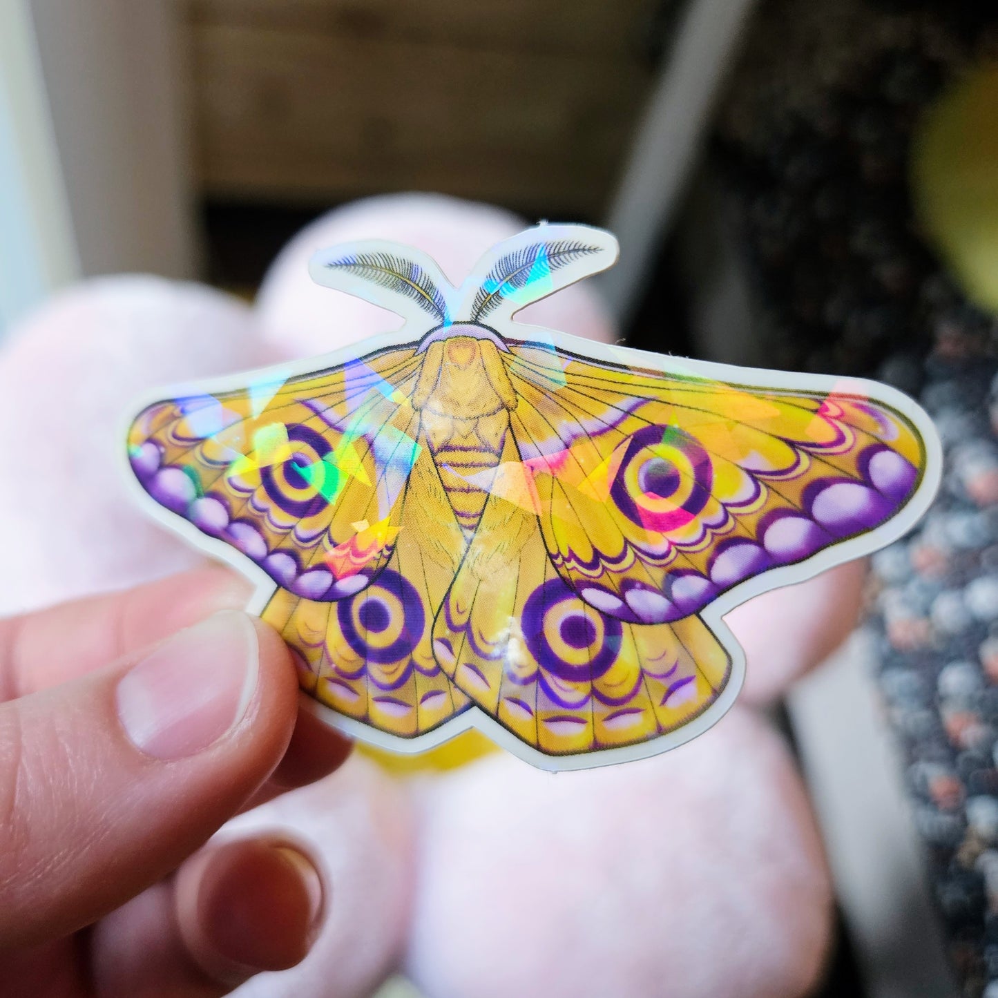 Intersex Pride Flag Emperor Moth Sticker